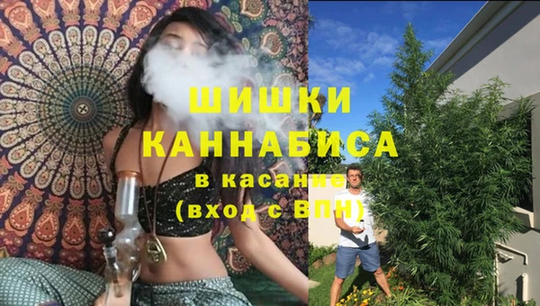 трава Горно-Алтайск