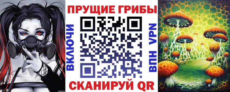 Псилоцибиновые грибы MAGIC MUSHROOMS  Купить где  Копейск 
